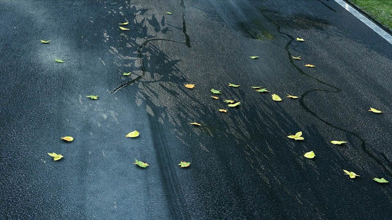 Project Cars - Imagen 31